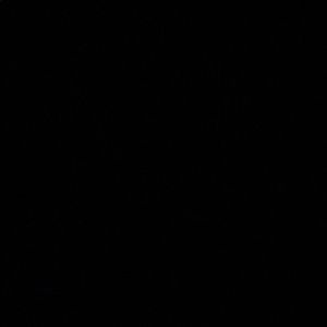 Meet your Posher, Saige